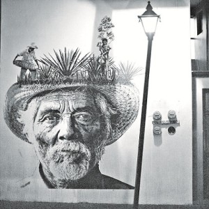 Censuran arte urbano en Oaxaca 1