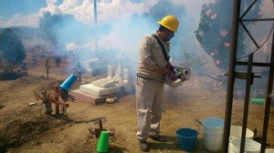 Mixteca, A la caza de dengue, chikungunya y zika