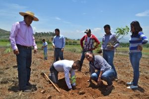 Reforesta UTVCO con mil 800 árboles