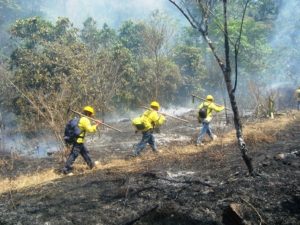 Reconocen labor de combatientes de incendios forestales