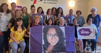 En España, solidaridad, indignación y exigencia de #JusticiaParaSol