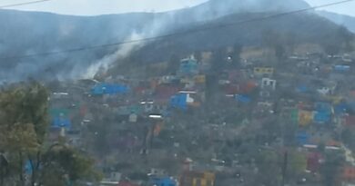 Atienden incendio forestal en San Juanito