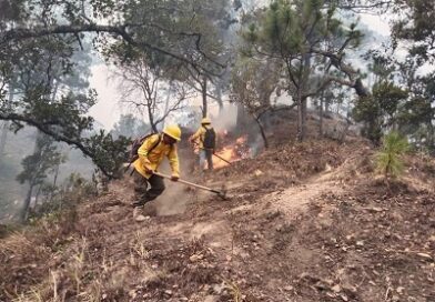 Atienden incendio forestal en la zona Chontal