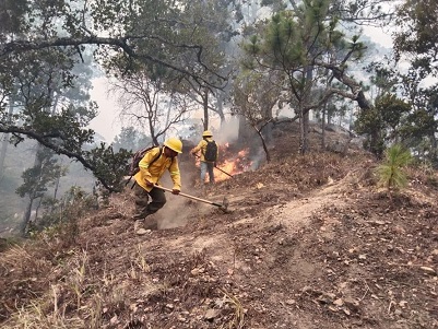 Atienden incendio forestal en la zona Chontal