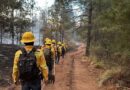 Va ayuda extraordinaria por incendios en Chimalapas
