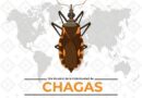 Van en Oaxaca 19 casos del mal de chagas
