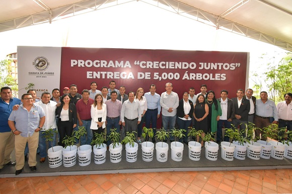 Entrega Oswaldo 5,000 árboles para reforestar – Oaxaca día a día