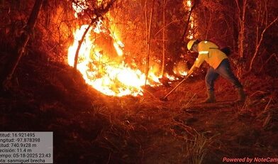 En menos de dos meses, incendios dañan 600 hectáreas en Oaxaca En menos de dos meses, incendios dañan 600 hectáreas en Oaxaca