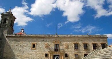 Convocan a la distinción “Mujer Oaxaqueña, Arcelia Yañiz”