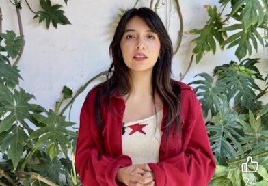 “Donde arden mis recursos”, expo de Damara Rosales