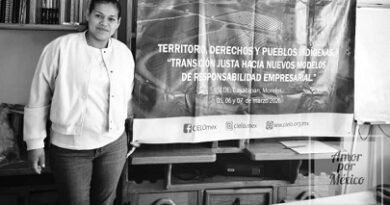 Exigen justicia para Nazareth