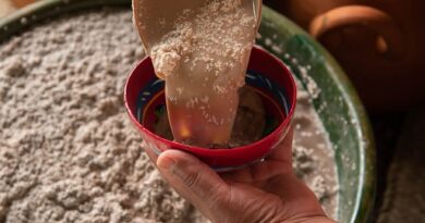 Feria del Tejate honra la historia, trabajo y herencia cultural