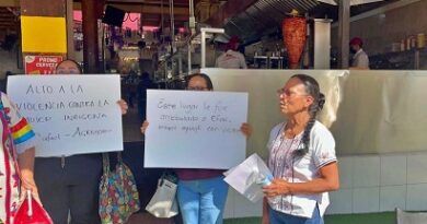 Mujer mixe, víctima de violencia y despojo, exige justicia