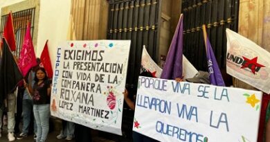 Acusan omisiones en búsqueda de Roxana