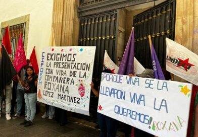 Acusan omisiones en búsqueda de Roxana
