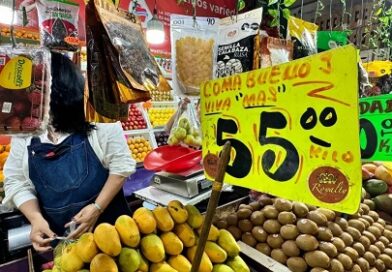 Aumento de la canasta básica ahorca a 15 millones de familias Aumento de la canasta básica ahorca a 15 millones de familias