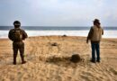 Desovan más de 11 mil tortugas en playa de Oaxaca