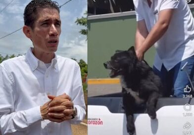 Edil sacrifica a funcionaria ante presunta crueldad animal