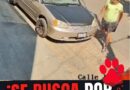 Piden castigo contra presunto agresor de animales