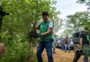 Especialista cuestiona reforestación en el Cerro del Fortín Especialista cuestiona reforestación en el Cerro del Fortín