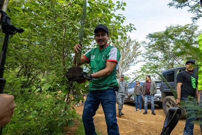 Especialista cuestiona reforestación en el Cerro del Fortín Especialista cuestiona reforestación en el Cerro del Fortín