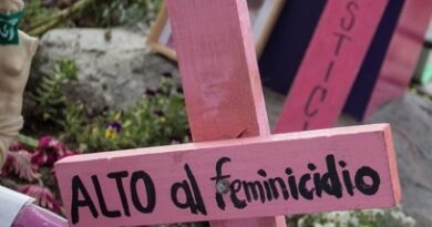 Oaxaca: 38 feminicidios en 6 meses