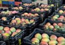 Oaxaca registró crecimiento en comercio