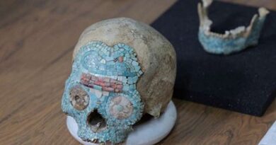 Cráneo de ancestro mixteco llegaría a Oaxaca desde Holanda