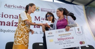 El maíz es la raíz de México: Sheinbaum en Oaxaca El maíz es la raíz de México: Sheinbaum en Oaxaca