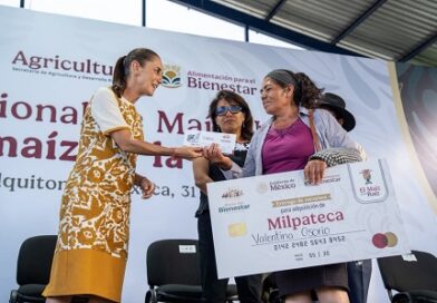 El maíz es la raíz de México: Sheinbaum en Oaxaca El maíz es la raíz de México: Sheinbaum en Oaxaca