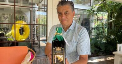 José Luis Bustamante cambia el lenguaje de la pintura José Luis Bustamante cambia el lenguaje de la pintura