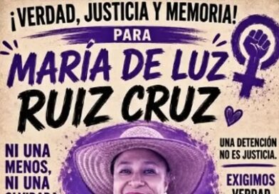 Nuevamente, S-22 exige justicia para profesora Nuevamente, S-22 exige justicia para profesora