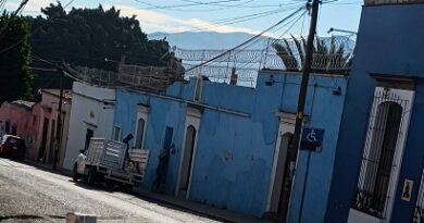 Oaxaca: cártel del despojo, sin sanción y bajo protección de autoridades Oaxaca: cártel del despojo, sin sanción y bajo protección de autoridades
