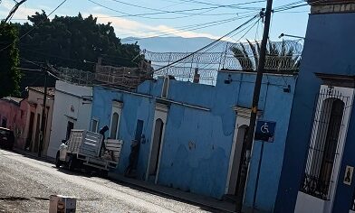 Oaxaca: cártel del despojo, sin sanción y bajo protección de autoridades Oaxaca: cártel del despojo, sin sanción y bajo protección de autoridades