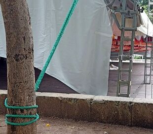 Piden sanciones por daños al arbolado del El Llano Piden sanciones por daños al arbolado del El Llano