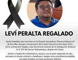 S-22 magisterial exige justicia por profesor ejecutado