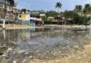 Se suman más a la defensa de playas de Puerto Escondido